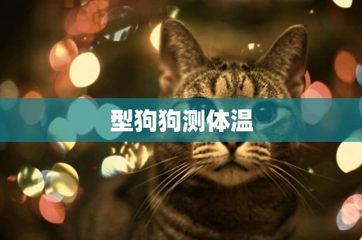 型狗狗測體溫
