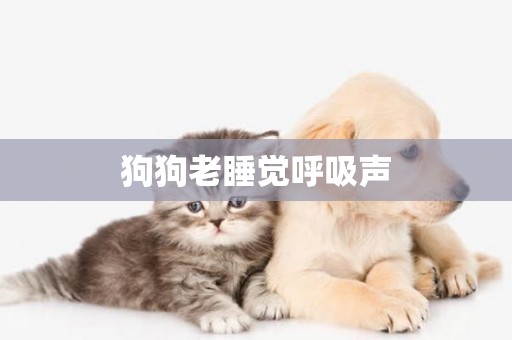 狗狗老睡覺呼吸聲