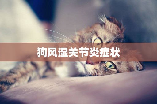 狗風濕關節炎癥狀