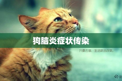 狗腦炎癥狀傳染