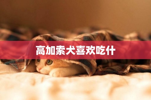 高加索犬喜歡吃什
