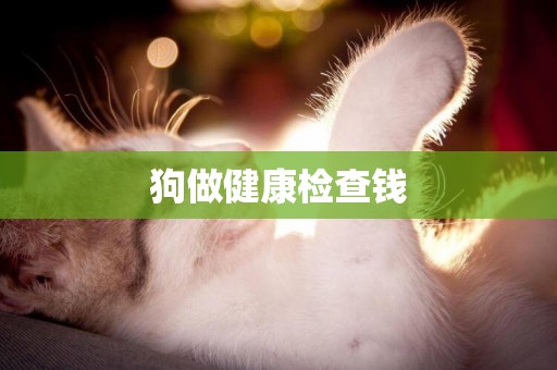 狗做健康檢查錢