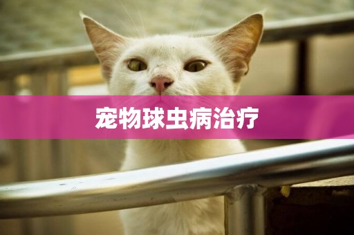 寵物球蟲病治療