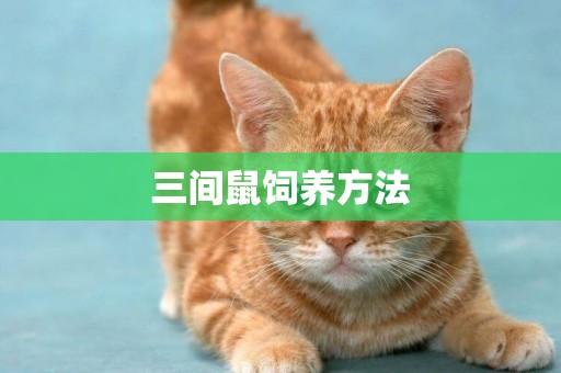 三間鼠飼養方法