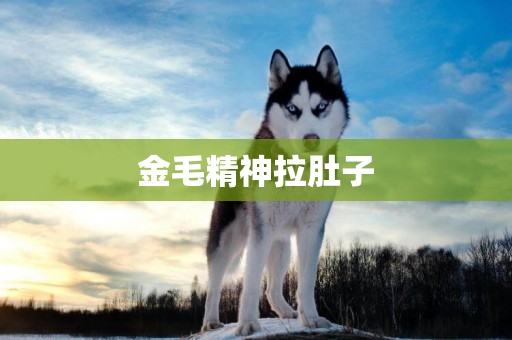 金毛精神拉肚子