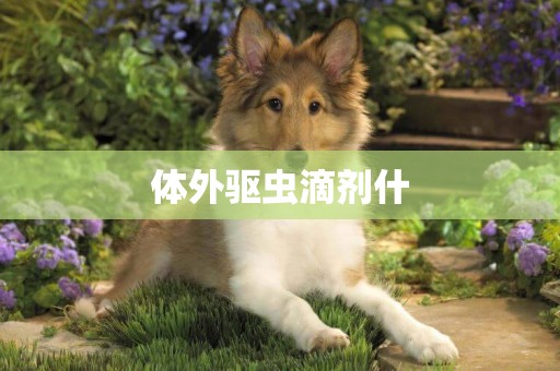 體外驅蟲滴劑什