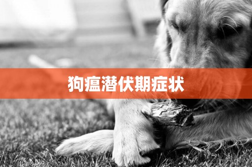 狗瘟潛伏期癥狀