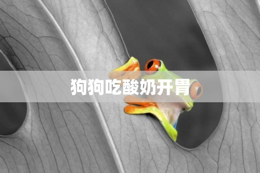 狗狗吃酸奶開胃