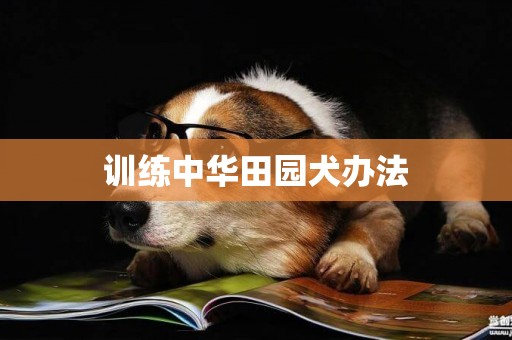訓練中華田園犬辦法