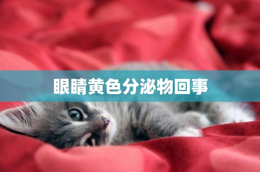 眼睛黃色分泌物回事