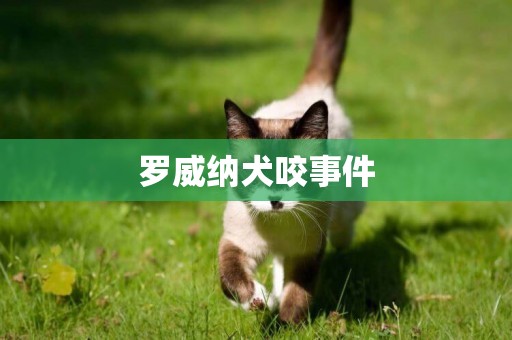 羅威納犬咬事件