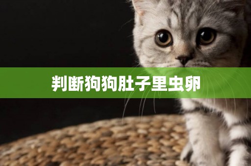 判斷狗狗肚子里蟲卵