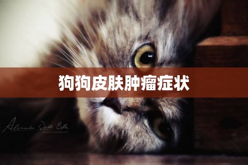 狗狗皮膚腫瘤癥狀