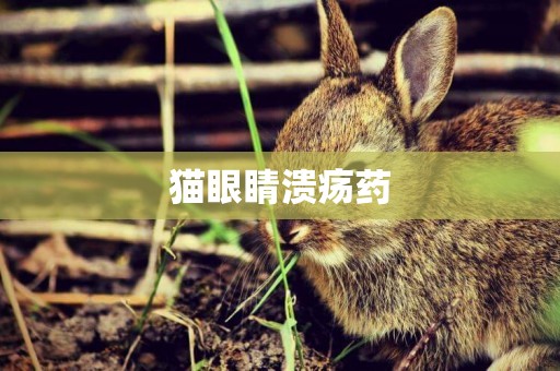 貓眼睛潰瘍藥