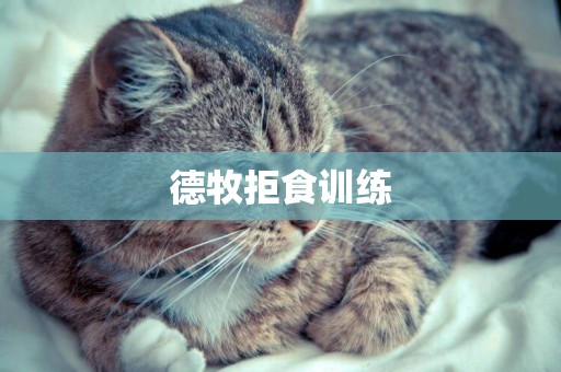 德牧拒食訓練