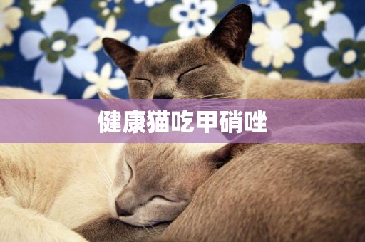 健康貓吃甲硝唑