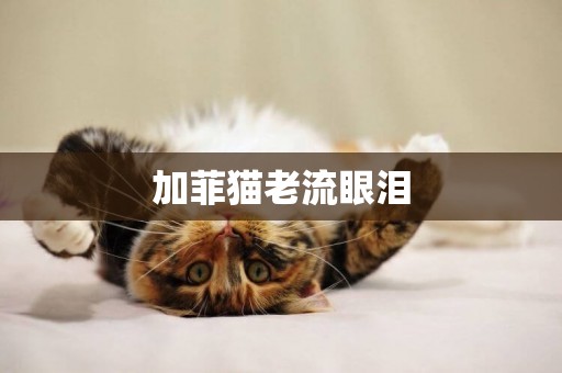 加菲貓老流眼淚