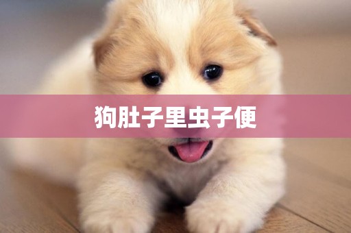 狗肚子里蟲子便