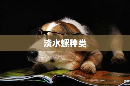淡水螺種類