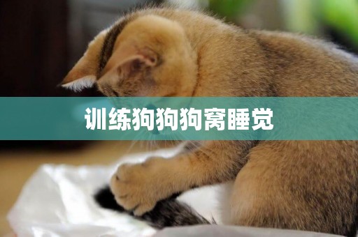 訓練狗狗狗窩睡覺