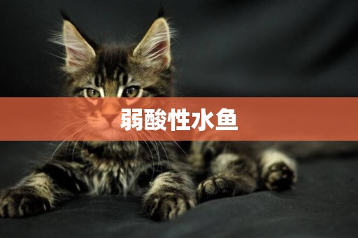弱酸性水魚