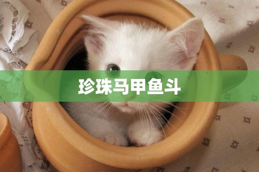 珍珠馬甲魚斗