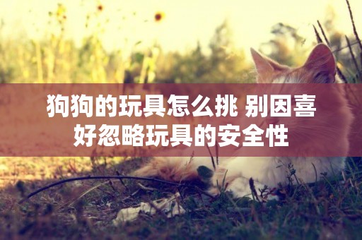 狗狗的玩具怎么挑 別因喜好忽略玩具的安全性