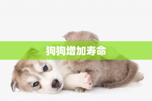 狗狗增加壽命