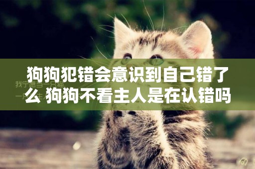 狗狗犯錯會意識到自己錯了么 狗狗不看主人是在認錯嗎