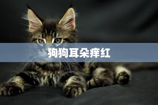 狗狗耳朵癢紅