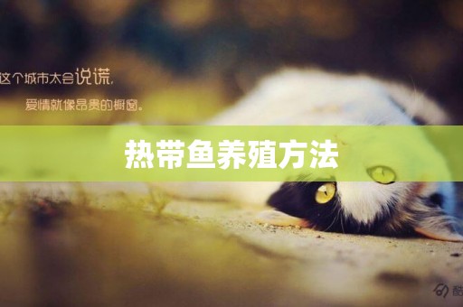 熱帶魚養殖方法