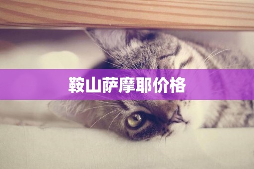 鞍山薩摩耶價格