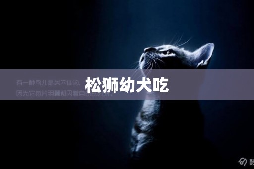 松獅幼犬吃