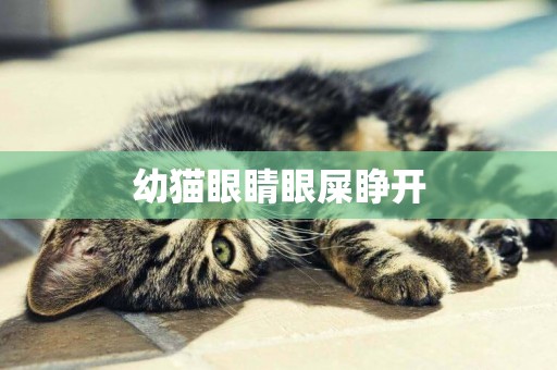 幼貓眼睛眼屎睜開