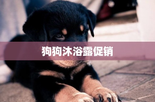 狗狗沐浴露促銷