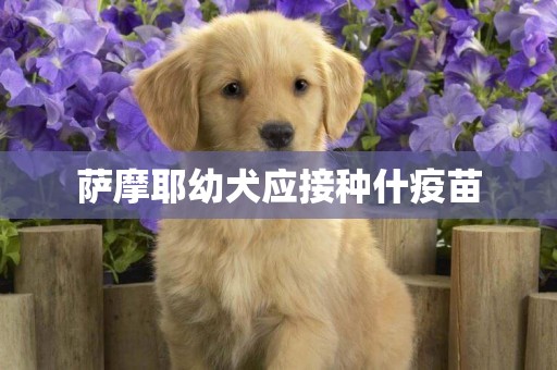 薩摩耶幼犬應接種什疫苗