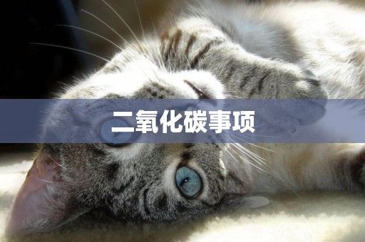 二氧化碳事項