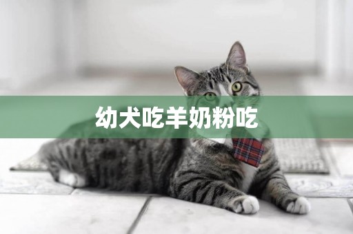 幼犬吃羊奶粉吃