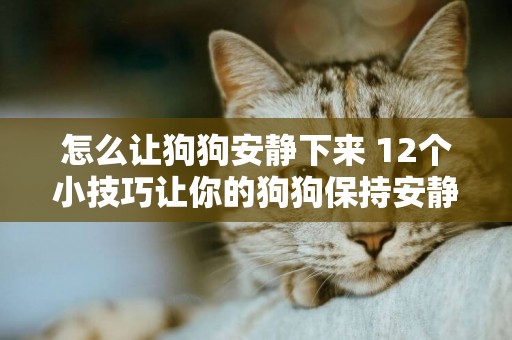 怎么讓狗狗安靜下來 12個小技巧讓你的狗狗保持安靜！