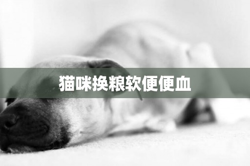 貓咪換糧軟便便血