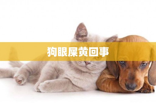 狗眼屎黃回事