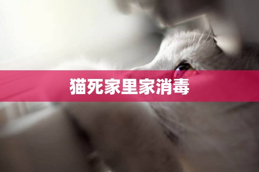 貓死家里家消毒
