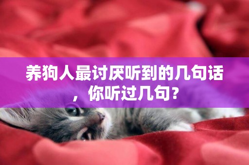 養狗人最討厭聽到的幾句話，你聽過幾句？