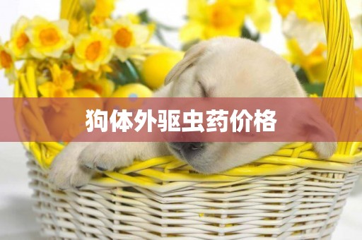 狗體外驅蟲藥價格