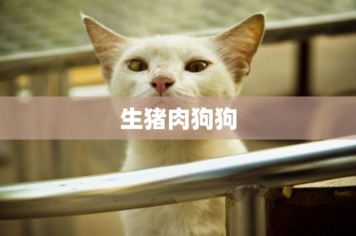 生豬肉狗狗