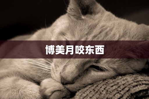 博美月咬東西