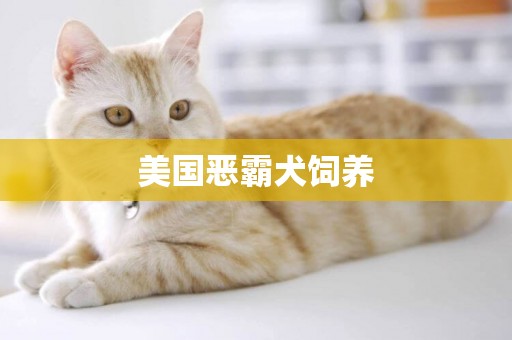 美國惡霸犬飼養
