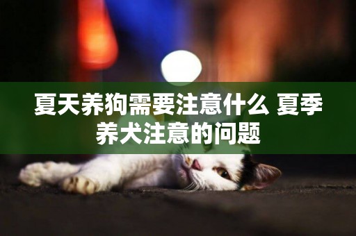 夏天養狗需要注意什么 夏季養犬注意的問題