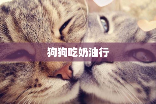狗狗吃奶油行