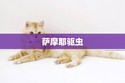 薩摩耶驅蟲